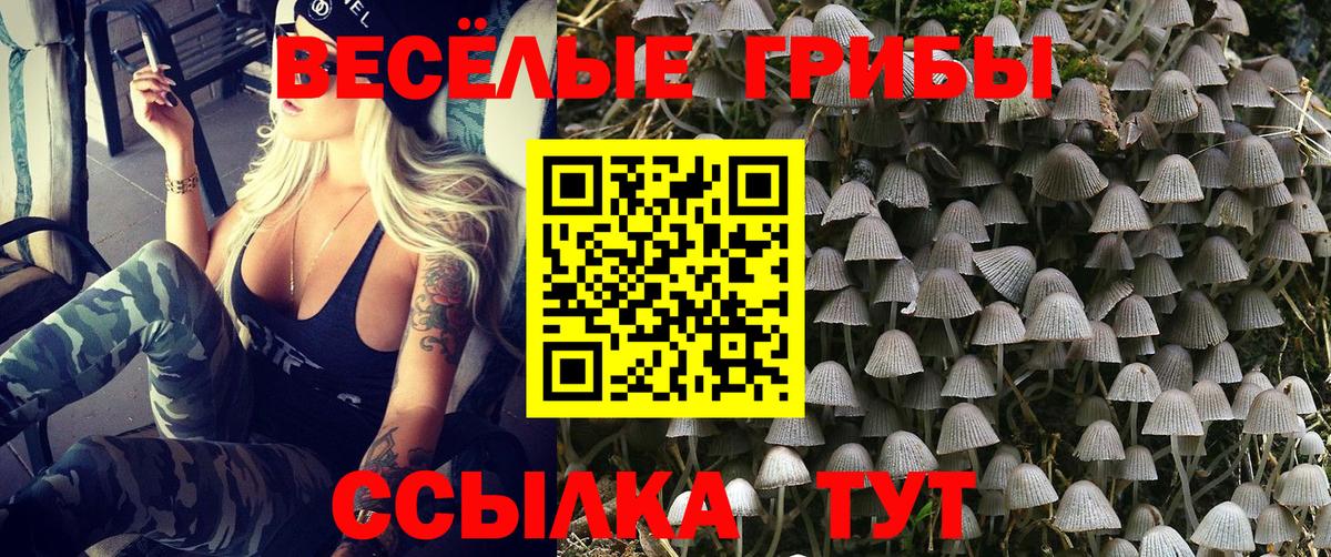 Губкинский  сколько стоит  Вход с VPN  Галлюциногенные грибы MAGIC MUSHROOMS 