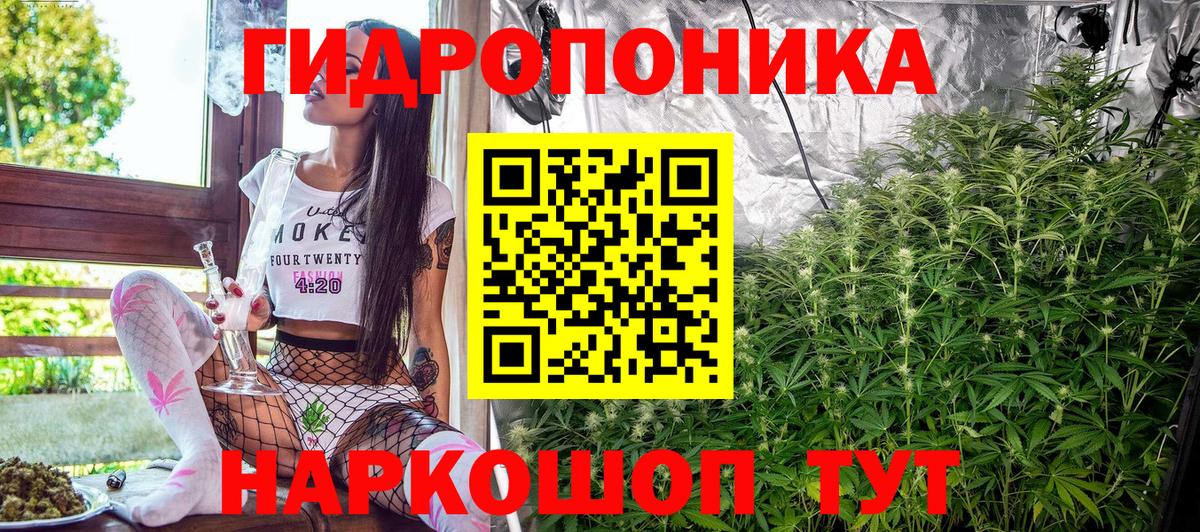 Бошки Шишки MAZAR Губкинский